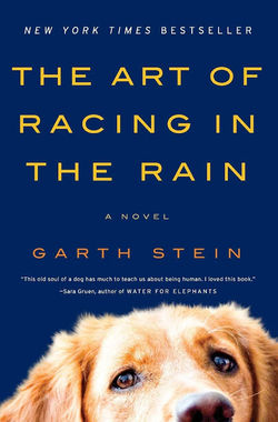 The Art of Racing in the Rain by Garth S