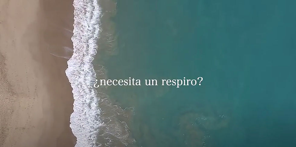 Ocean Experiences