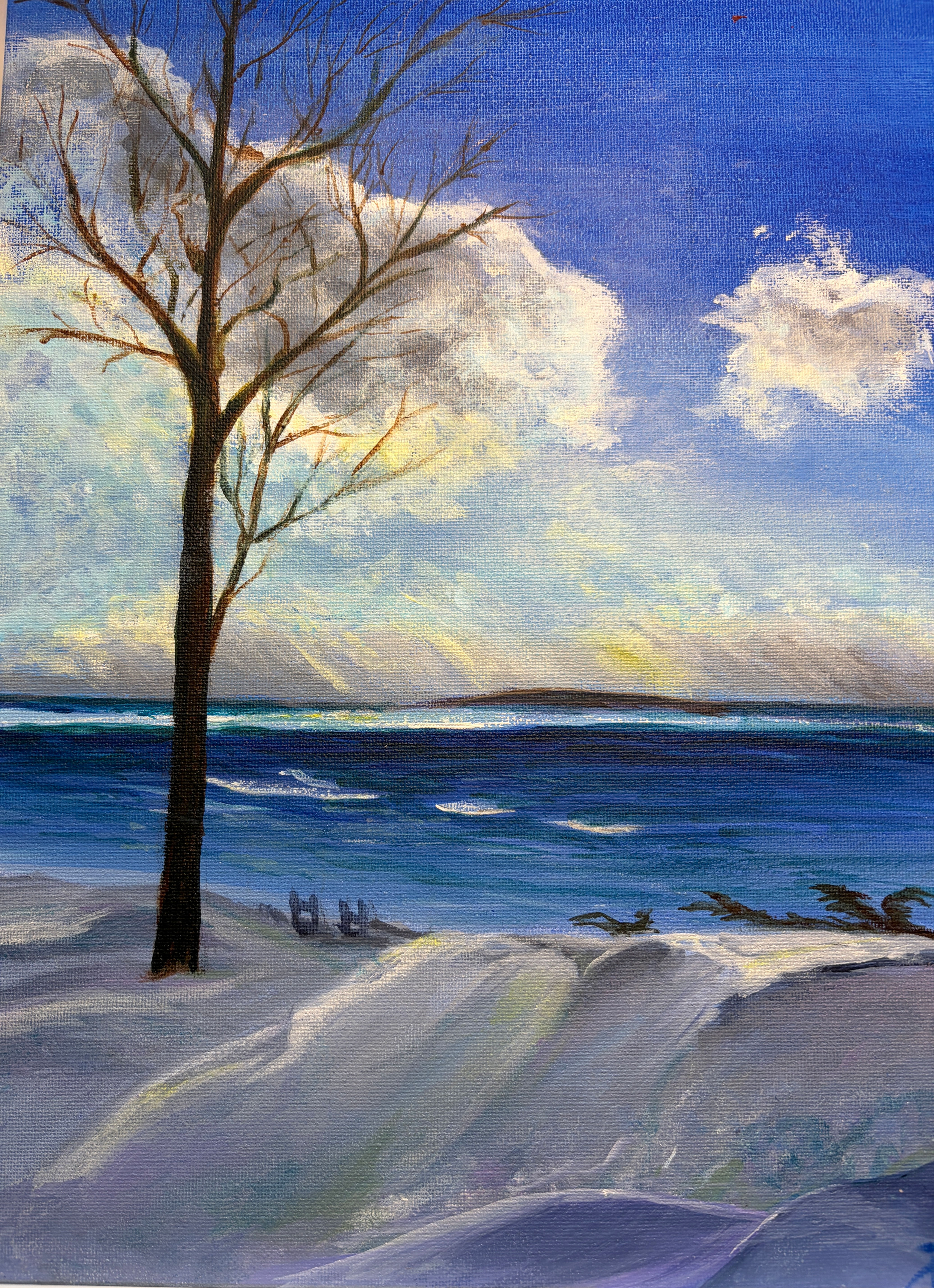 Winter on the Mission Peninsula, Kathleen Oemke