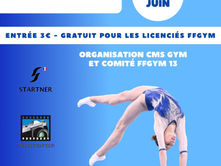 Le CMS Gym organise la finale Animagym !