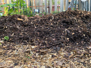 #ProjectMartian: Chapter 3 – The Weight of the World is Dirt or the #Zerodirt #ZeroWaste Beds