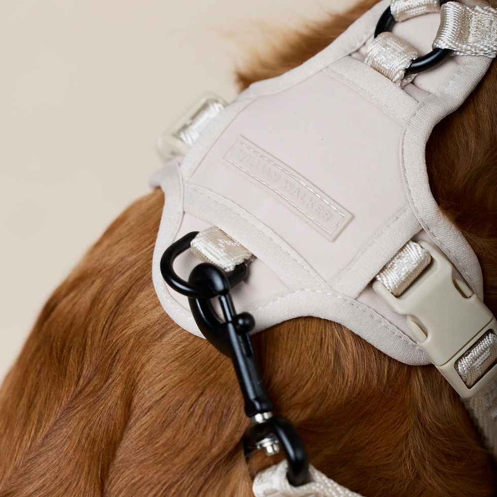 Thumbnail: Jacquard Nylon Hundegeschirr Apex