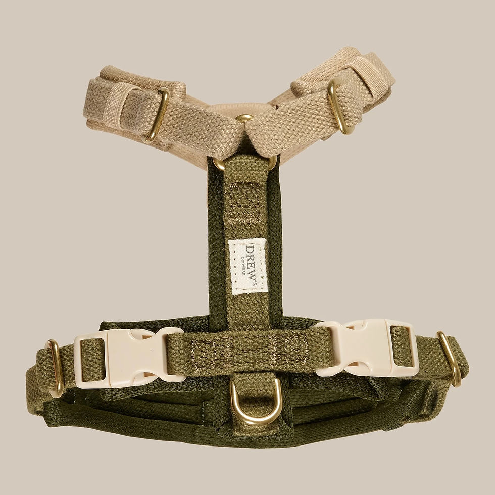 Miniaturbild: Olive PRO / Verstellbares Hundegeschirr