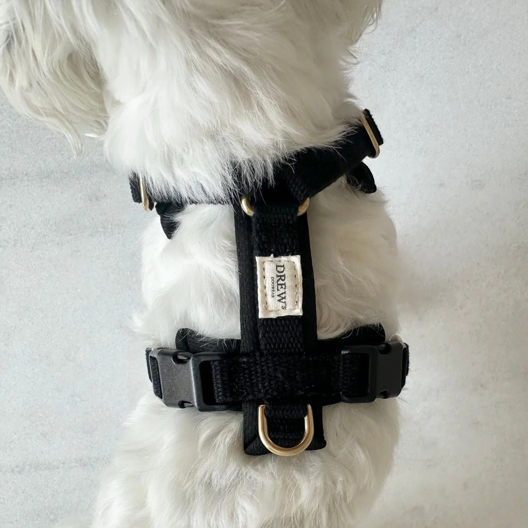 Black PRO / Verstellbares Hundegeschirr (Schwarz)