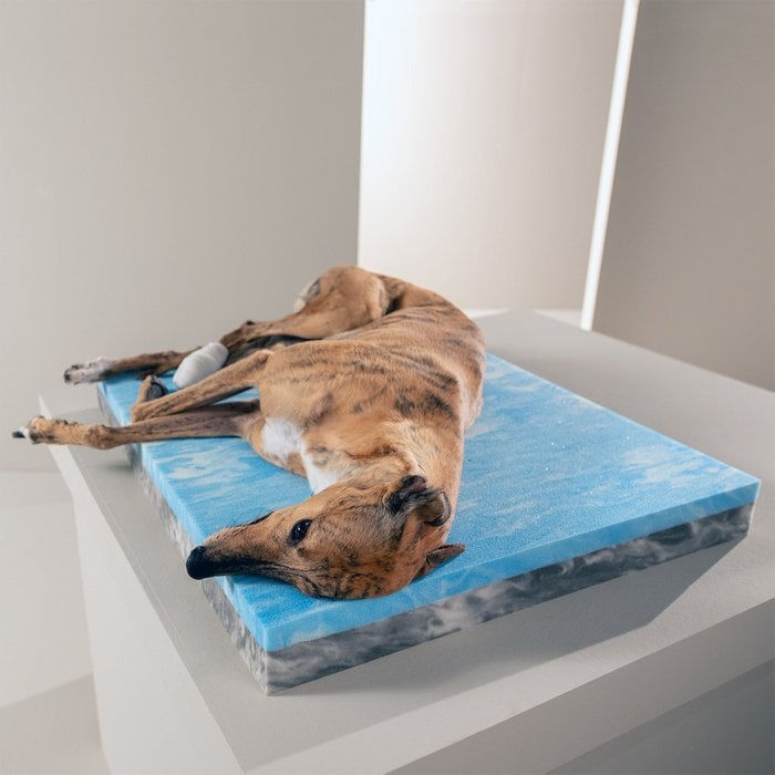 Miniaturbild: ORTHO Hundebett  OXFORD - Grey