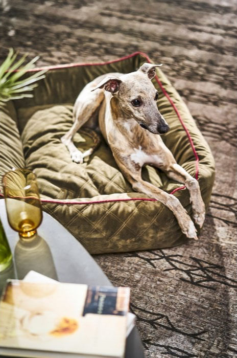 Miniaturbild: CLASSIC Hundebett  OXFORD - Olive