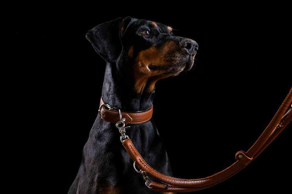 Miniaturbild: AMICI - Nappa-Halsband Cognac