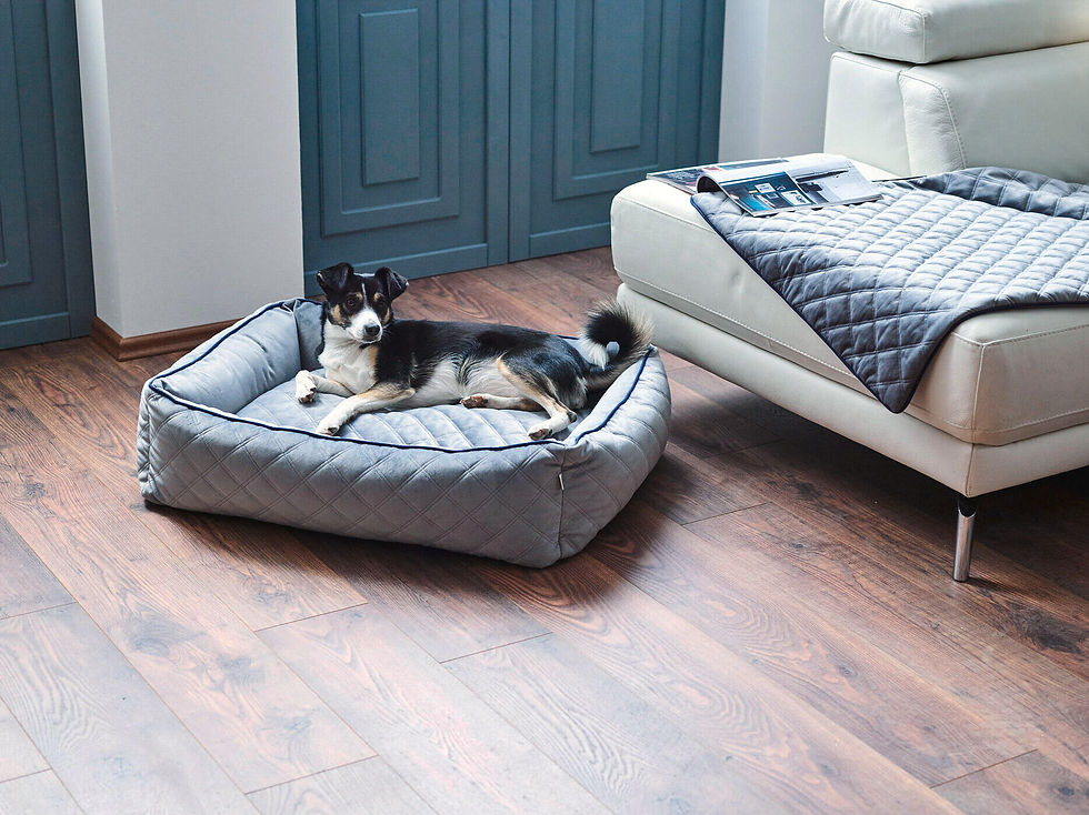 Thumbnail: OXFORD blanket - Grey