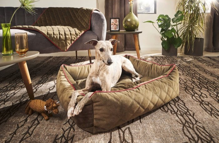 Miniaturbild: ORTHO Hundebett  OXFORD - Olive