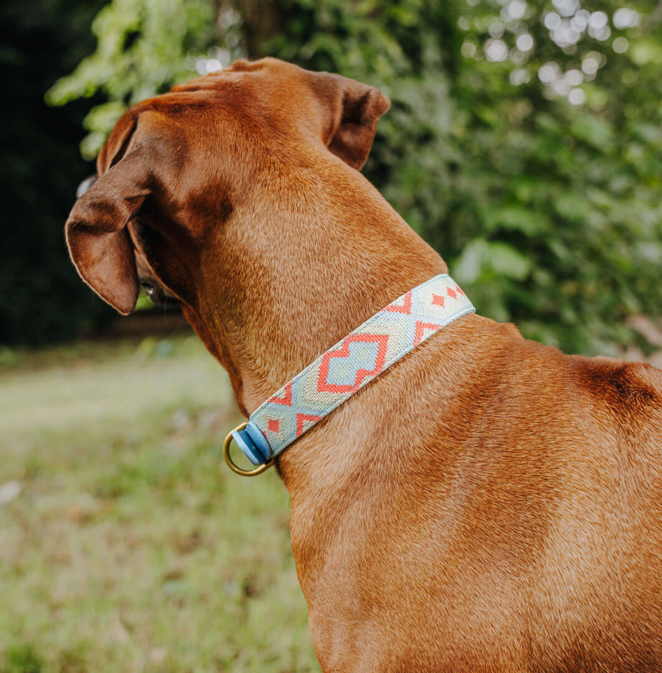 HEY LANA Premium Halsband Coral