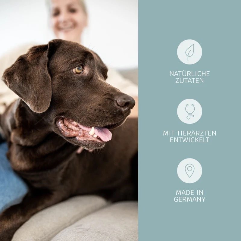 Miniaturbild: mammaly Relax Time