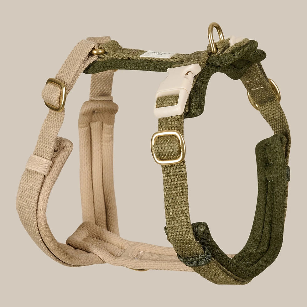 Miniaturbild: Olive PRO / Verstellbares Hundegeschirr
