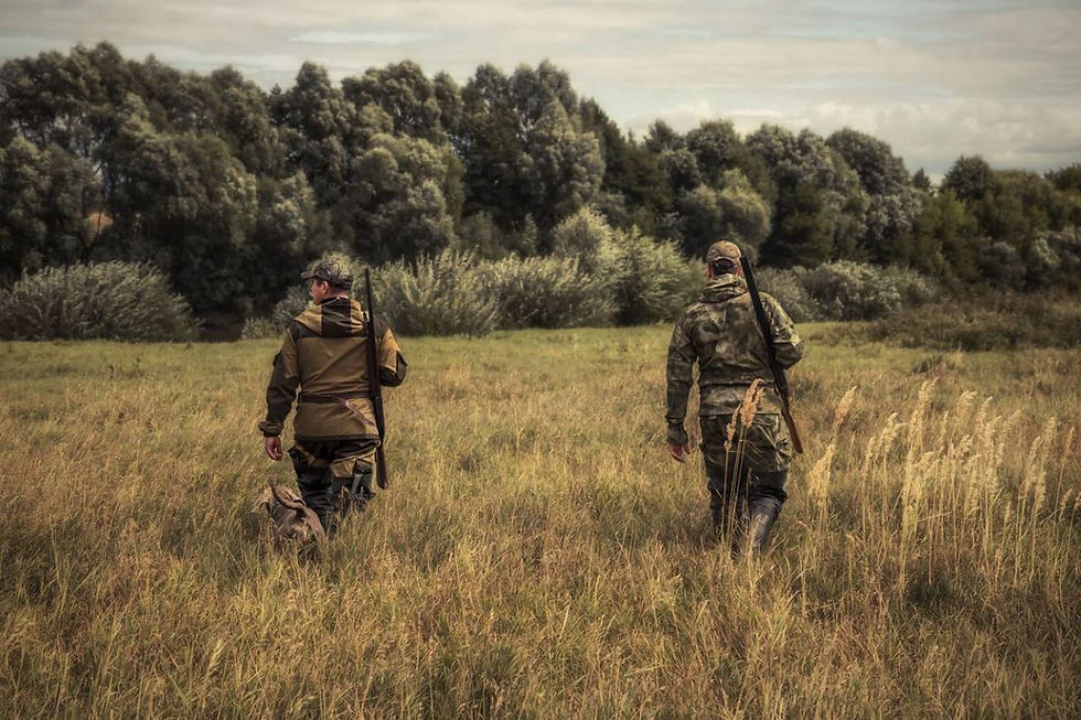 Deux chasseurs en action dans la nature, illustration de la sécurité à la chasse et de la réglementation cynégétique en France.