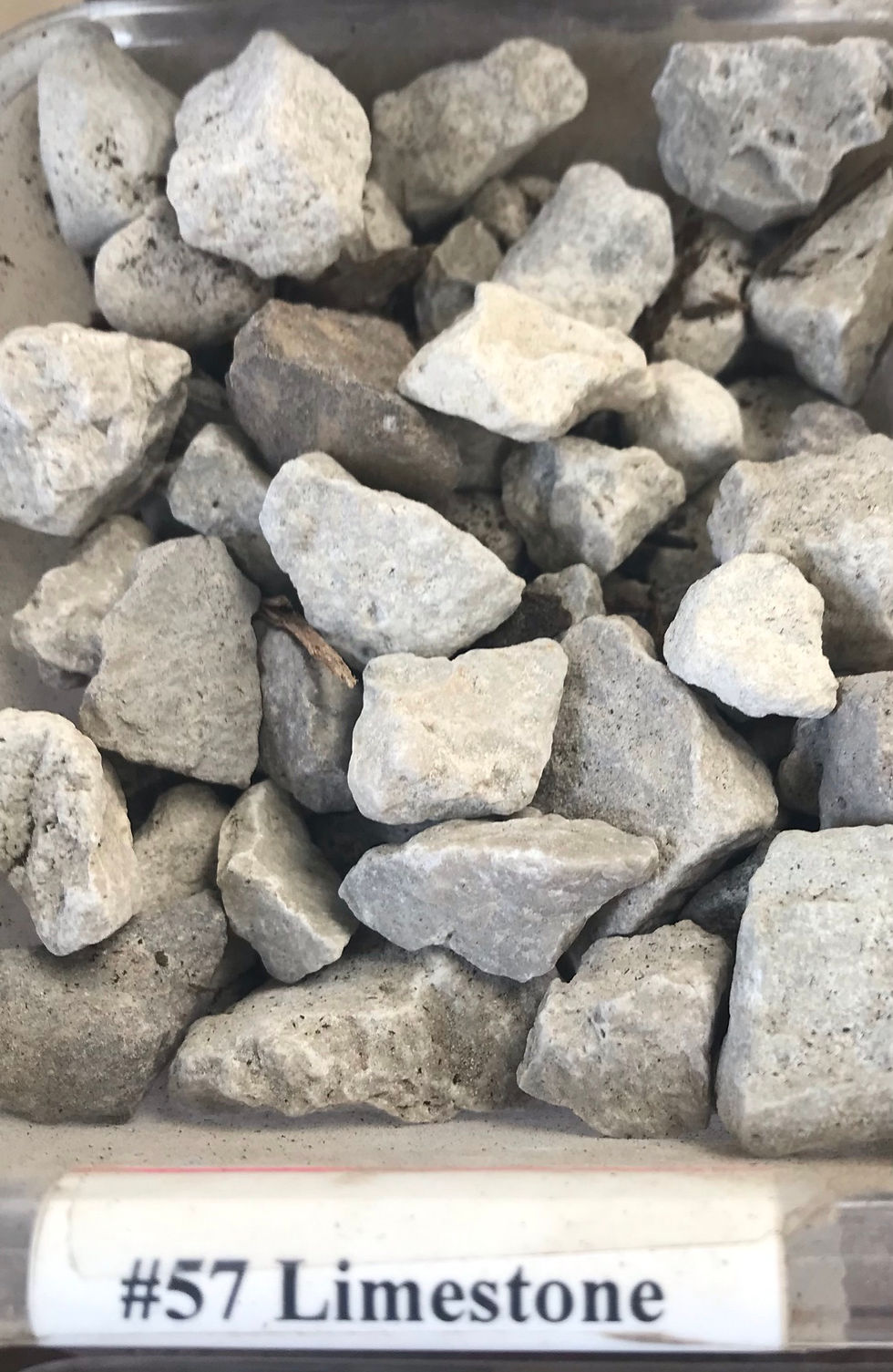 #57 limestone.JPEG