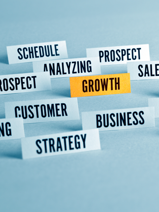 The Essential Small Business Startup Guide: Planning, Marketing, and Building a StrongFoundation