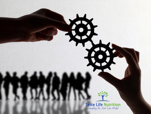 Healthy leadership starts with supporting human health.