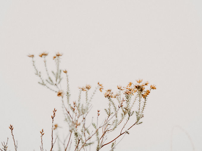 annie-spratt-QkzN4R6crPA-unsplash.jpg