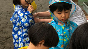 カメが脱走。みんなで大捜索!