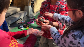 カメもカエルも目を覚ましました