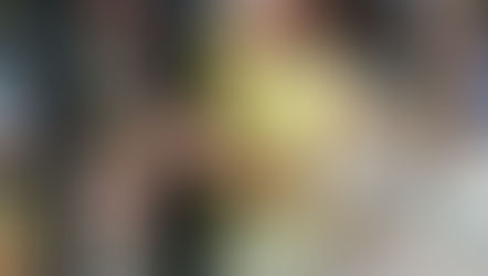 忍者の修行「さるわたりの術(登り棒渡り)」