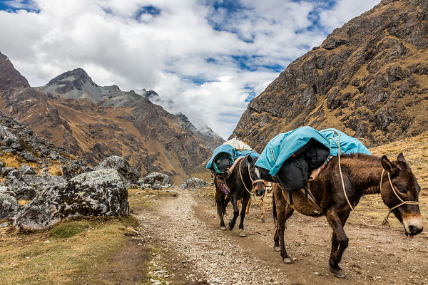 Peru Expedition