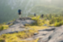 AdobeStock_100993176.jpeg