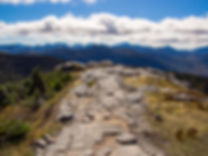 AdobeStock_183978143.jpeg