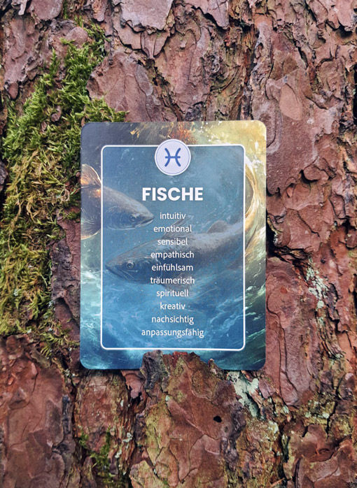 Miniaturbild: ASTROLOGISCHES LERNKARTENSET