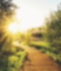 leo-wieling-A41RDv4xoMI-unsplash_edited.