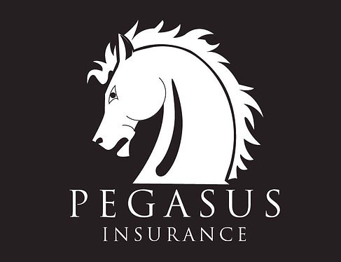 Professional logo #2 Pegasus Insurance.j