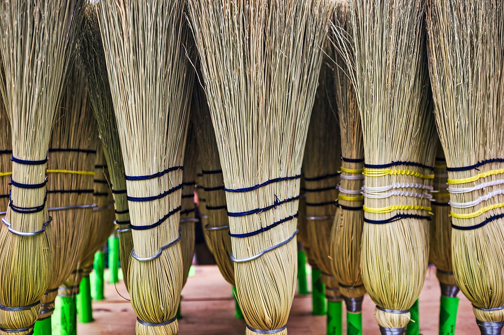 Tops of broom sticks