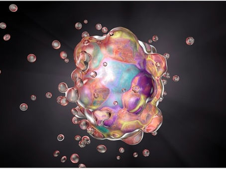 Create-Destroy-Recreate: Apoptosis