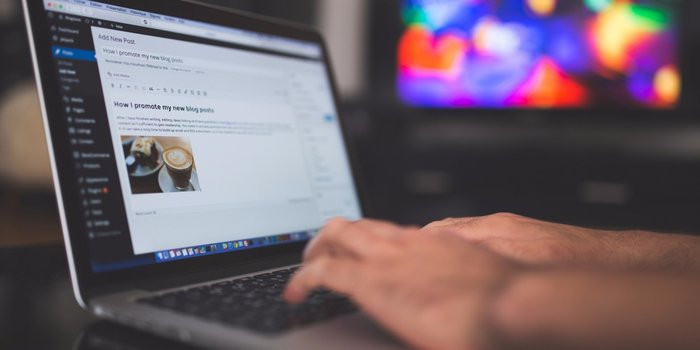 Person Blogging
