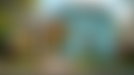 Maximize Your Home’s Curb Appeal with Complete Painting Services