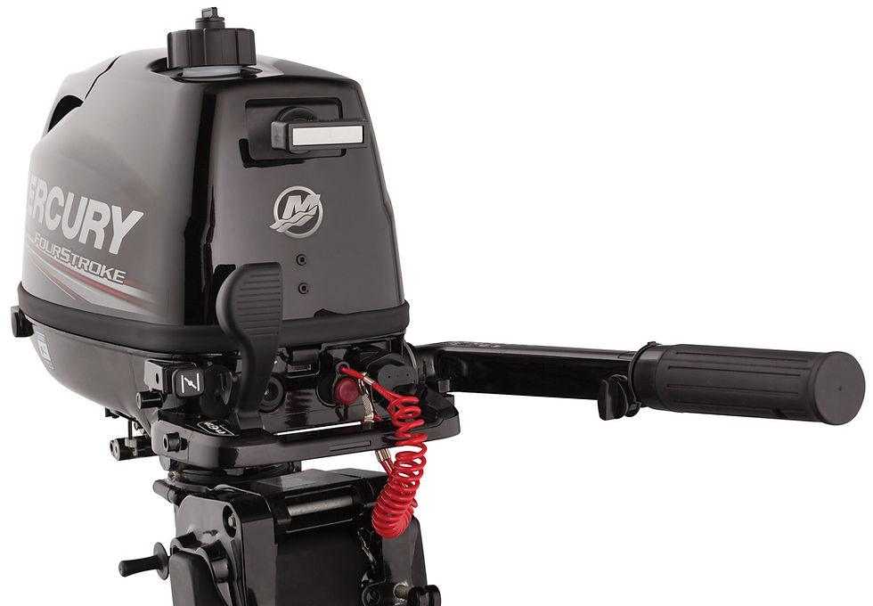 Miniaturbild: Mercury F 5 MH