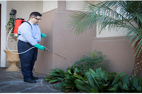 Why Hire Pest Control Near Virginia Expert Services?