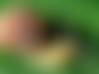 Week beginning 2nd June