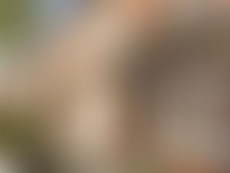 The UK Property Market's Hidden Potential: Why UK Property Prices Won't Falter in 2024