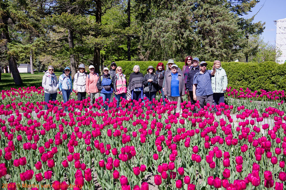 Jardin Botanique