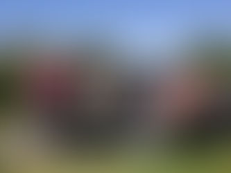 Sortie aux pommes et célébration du 5e anniversaire de Marche Santé