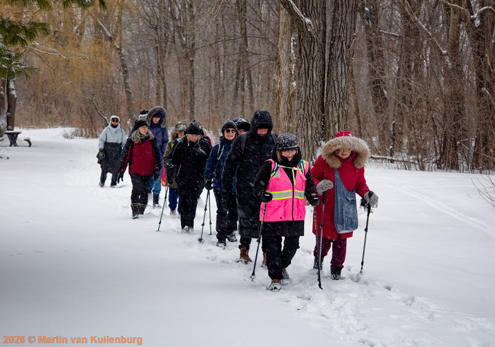 Solution de rechange : Parc Angrignon