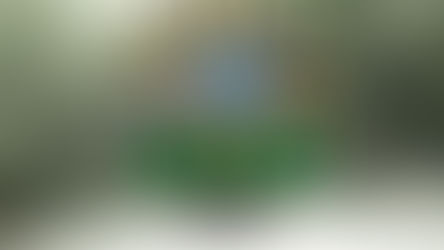 練習体験会を開催します！！