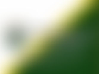 第二回　JEAGER杯バレーボール大会開催のお知らせ📢