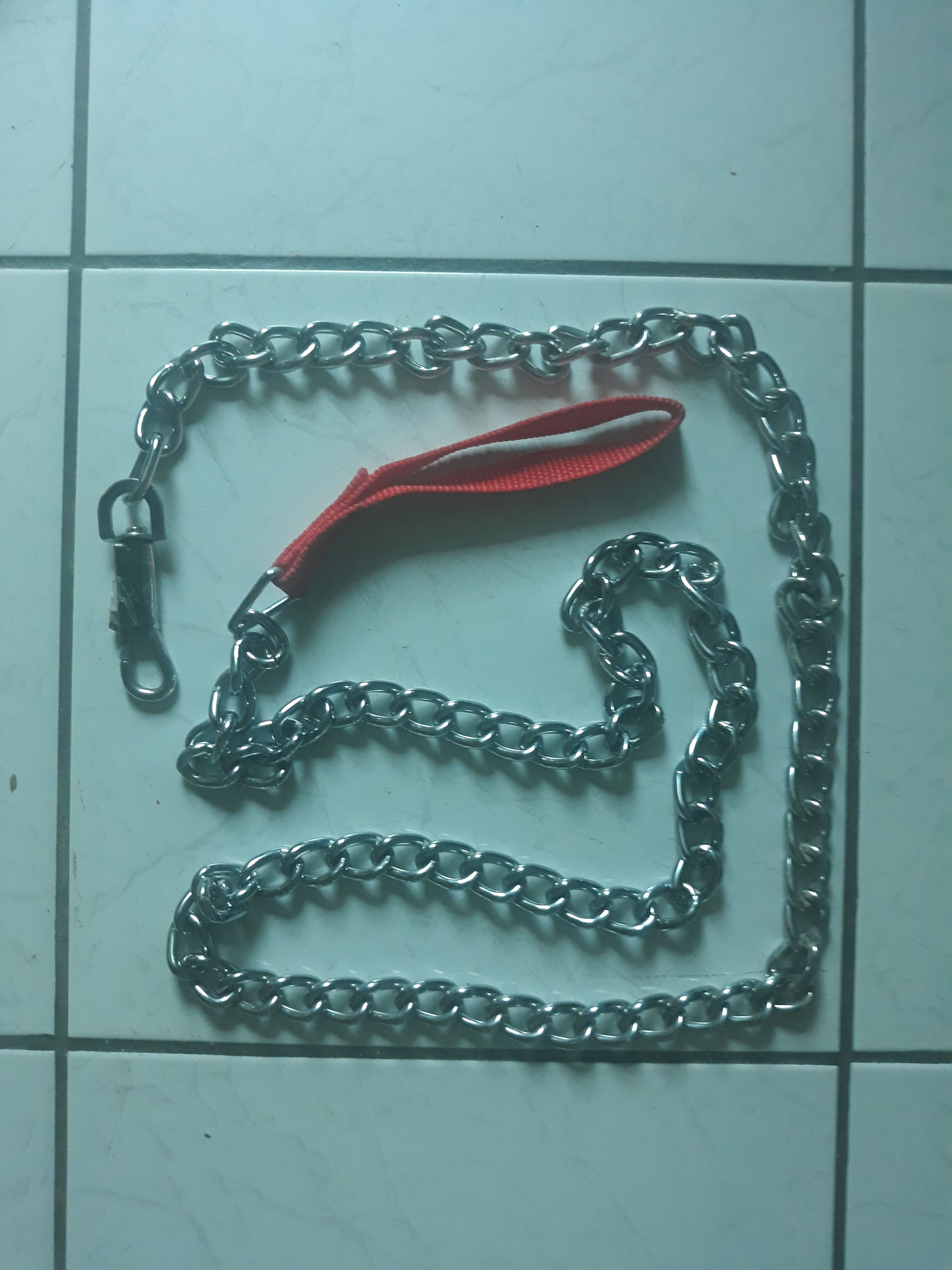 Dog Chain
