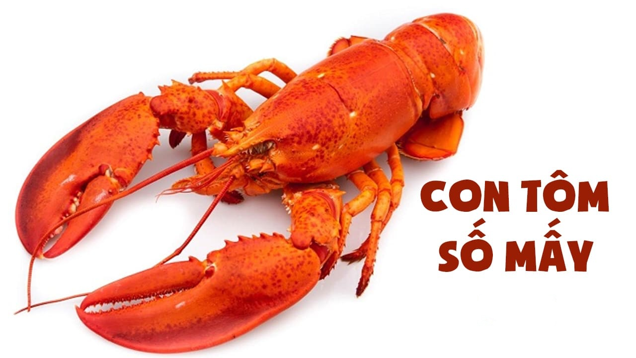 Mơ thấy tôm có ý nghĩa gì trong tâm linh? Giải mã giấc mơ thấy tôm content media