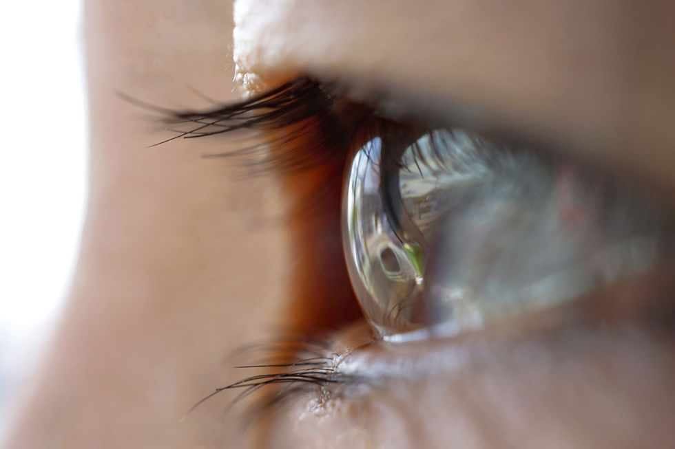 Close-up of a human cornea showing transparency and light reflection, illustrating corneal endothelial health