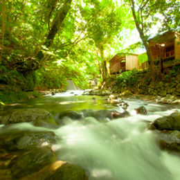 Siete cascadas de Kawazu Arroyo de montaña Casa de té de aguas termales Arroyo de montaña Mizumari