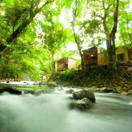 Siete cascadas de Kawazu Arroyo de montaña Casa de té de aguas termales Arroyo de montaña Mizumari