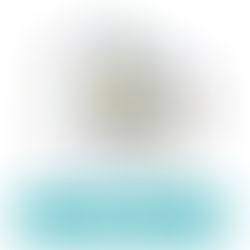 助成金と補助金とは?