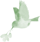 23599384.png